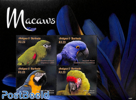 Macaws 4v m/s