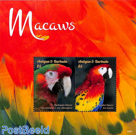 Macaws 2v m/s