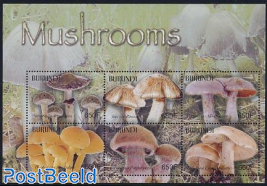 Mushrooms 6v m/s, Stropharia Aeruginosa