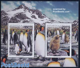 Antarctica, penguin s/s