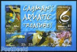 Aquatic treasures 5v m/s