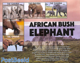 African Bush Elephant 5v m/s