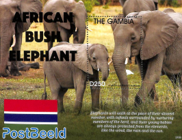 African Bush Elephant s/s