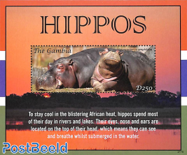 Hippo's s/s