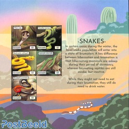 Snakes 5v m/s