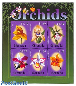 Orchids 6v m/s