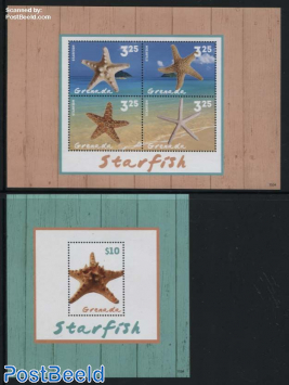 Starfish 2 s/s