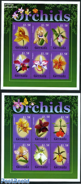 Orchids 12v (2 m/s)