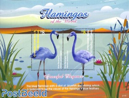 Flamingos 2v m/s