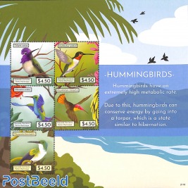 Hummingbirds 5v m/s