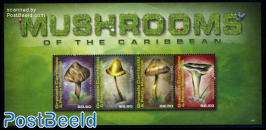 Mushrooms 4v m/s