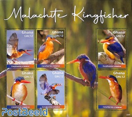 Malachite Kingfisher 6v m/s