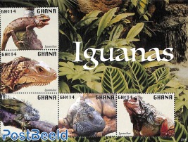 Iguanas 5v m/s