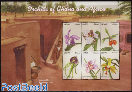 Orchids 6v m/s, cattleya
