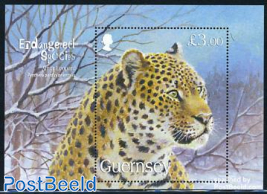 Endangered species, leopard s/s