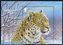 Endangered species, leopard s/s