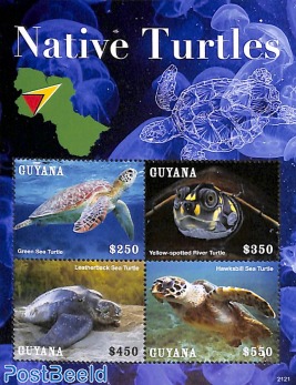 Native Turtles 4v m/s