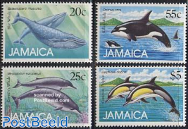 Whales and Dolphins 4V