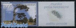 Nature Conservation 1v+tab, Bosnian Pine