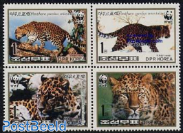 WWF, Leopard 4v [+]