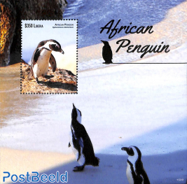 African Penguin s/s