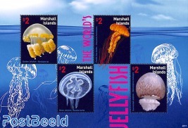 Jellyfish 4v m/s