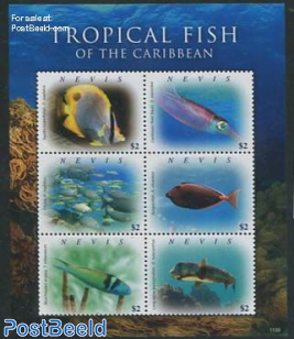 Tropical fish 6v m/s