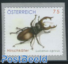 Beetle 1v s-a