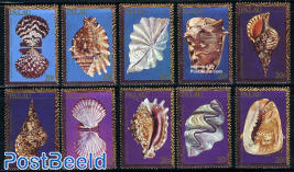 Shells 10v