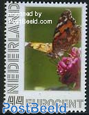 Butterflies, Distelvlinder 1v