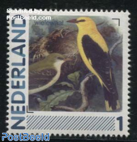 Birds, Wielewaal 1v (Oriolus oriolus)