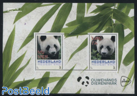 Ouwehands Dierenpark, Panda s/s