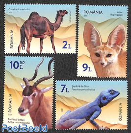 Desert animals 4v