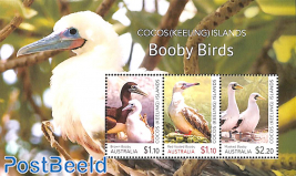 Booby birds s/s