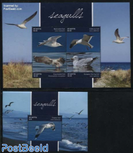Seagulls 2 s/s