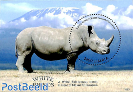 White Rhino s/s