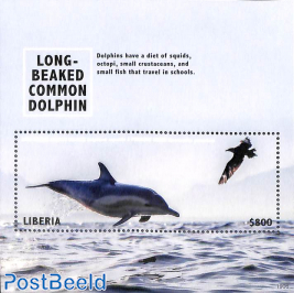 Long Beaked Common Dolphin s/s