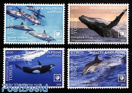 Whales and dolphins 4v