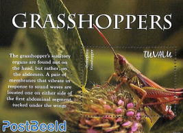 Grasshoppers s/s