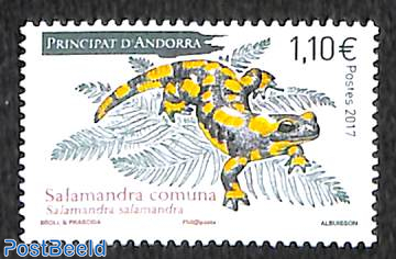 Salamandra comuna 1v