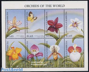 Orchids 8v m/s, Sophia Martin