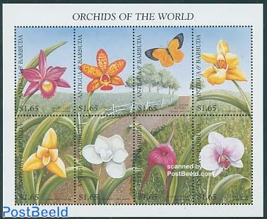 Orchids 8v m/s, Brassocattleya