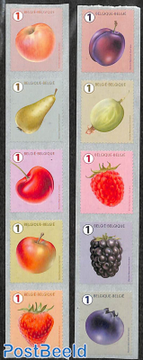 Fruits 10v s-a