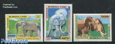 Elephants 3v