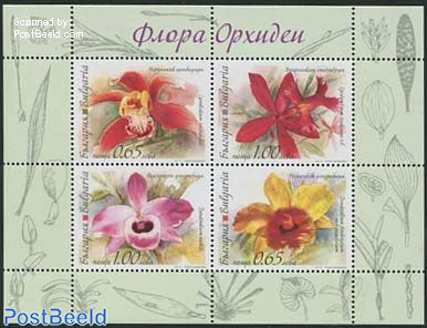 Orchids 4v m/s