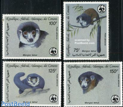 WWF, Mongoz Lemur 4v