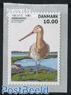 National Park Wadden Sea, Bird 1v s-a