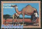 Camel 1v