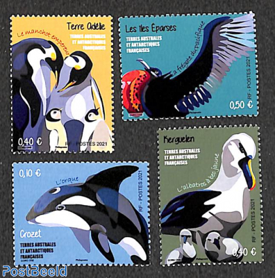 Animals 4v