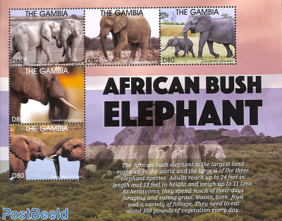 African Bush Elephant 5v m/s